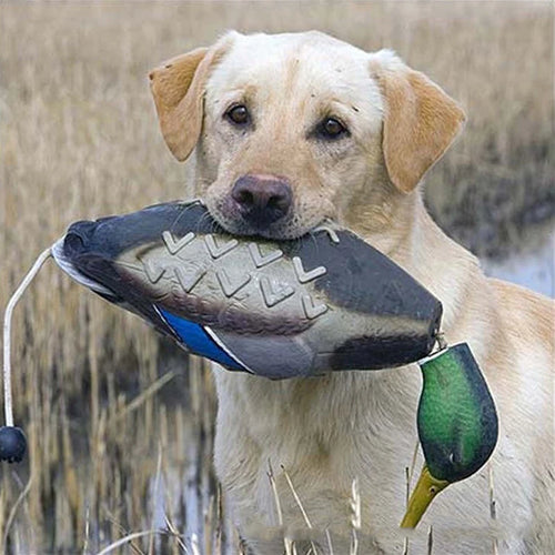 Mimics Dead Duck Bumper Toy For dogTraining Puppies Hunting Dogs