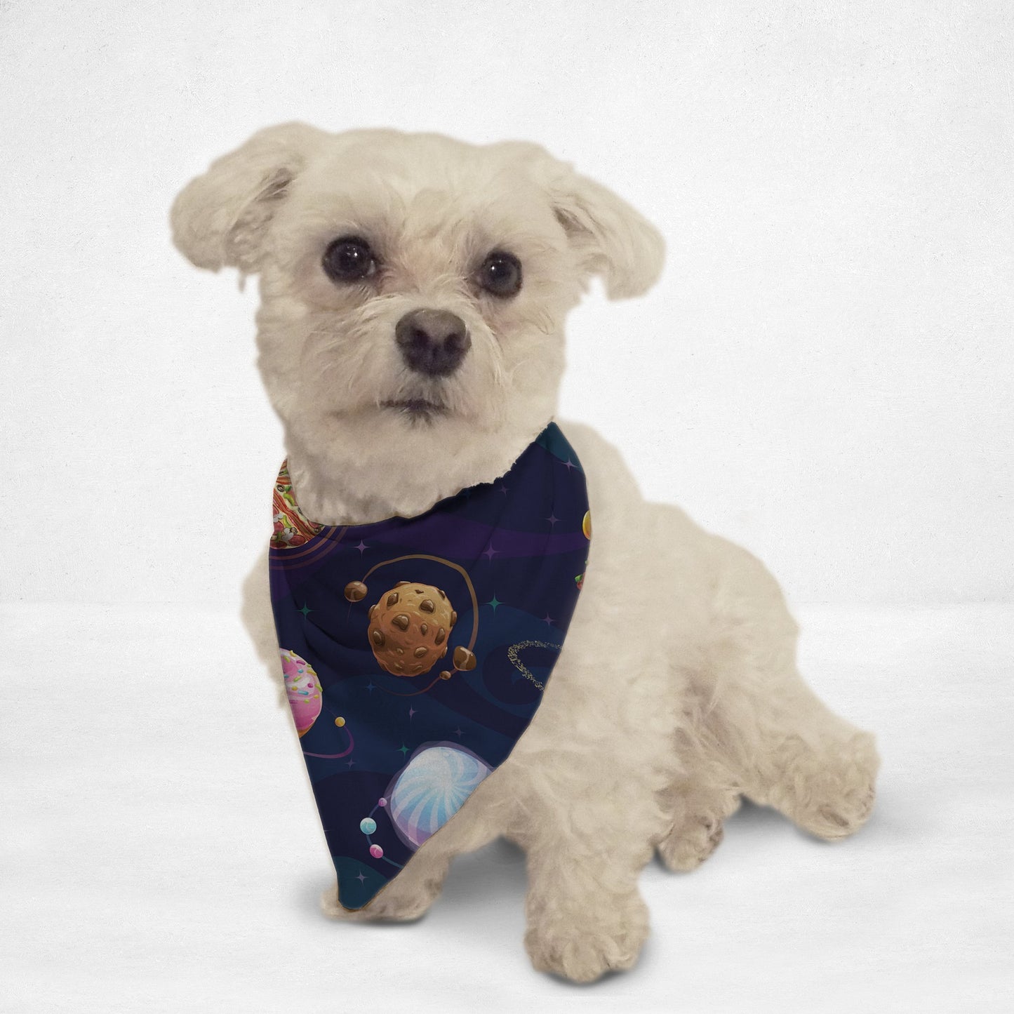 Food Planets Cat & Dog Bandana